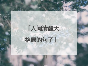 人间清醒大格局的句子