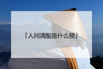 人间清醒是什么梗