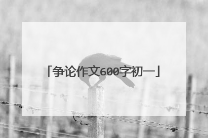 争论作文600字初一