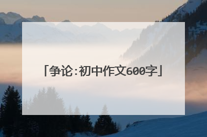 争论:初中作文600字