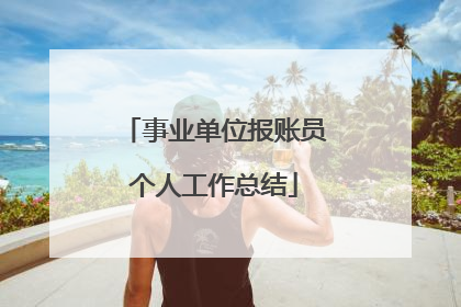 事业单位报账员个人工作总结