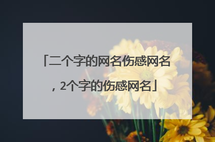 二个字的网名伤感网名,2个字的伤感网名