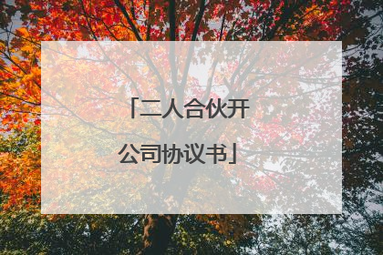 二人合伙开公司协议书