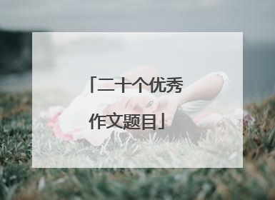 二十个优秀作文题目