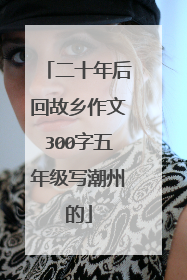 二十年后回故乡作文300字五年级写潮州的