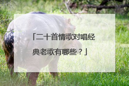 二十首情歌对唱经典老歌有哪些?