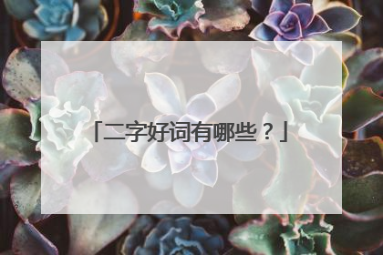 二字好词有哪些?