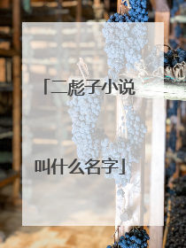 二彪子小说叫什么名字