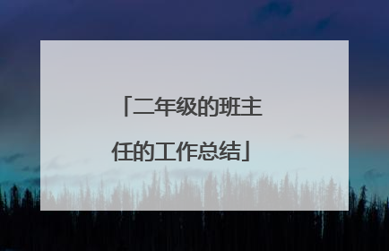 二年级的班主任的工作总结