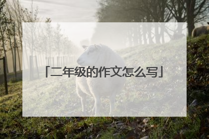 二年级的作文怎么写