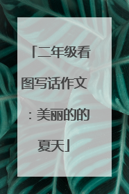 二年级看图写话作文：美丽的的夏天