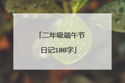 二年级端午节日记100字