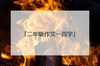 二年级作文一百字