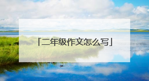 二年级作文怎么写