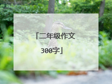 二年级作文300字