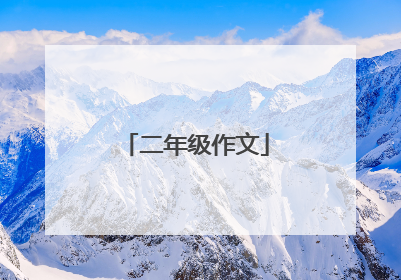 二年级作文