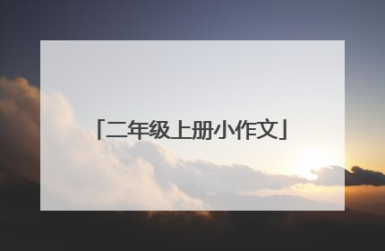 二年级上册小作文