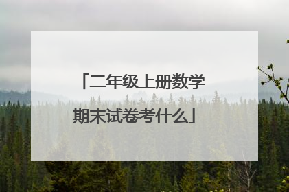 二年级上册数学期末试卷考什么