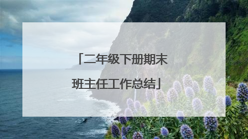 二年级下册期末班主任工作总结
