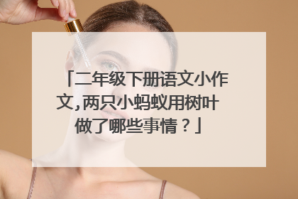 二年级下册语文小作文,两只小蚂蚁用树叶做了哪些事情?