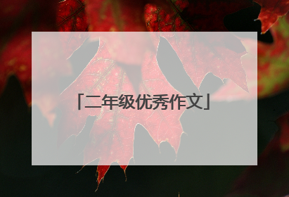 二年级优秀作文