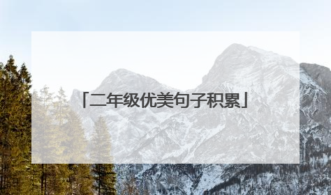 二年级优美句子积累