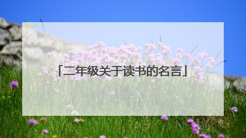 二年级关于读书的名言