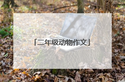 二年级动物作文