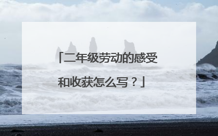 二年级劳动的感受和收获怎么写？