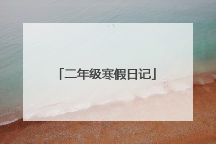 二年级寒假日记