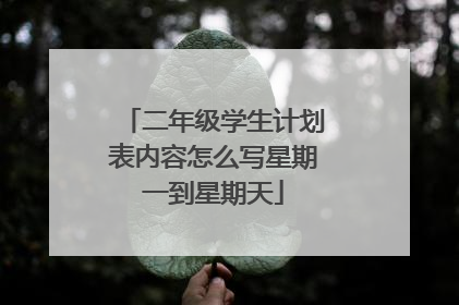 二年级学生计划表内容怎么写星期一到星期天