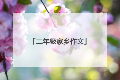 二年级家乡作文