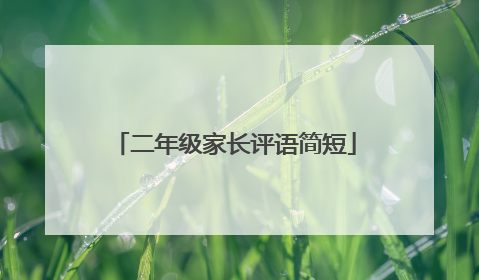 二年级家长评语简短