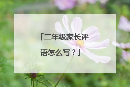 二年级家长评语怎么写？