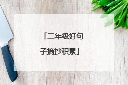 二年级好句子摘抄积累