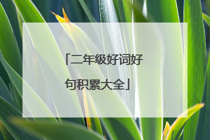 二年级好词好句积累大全