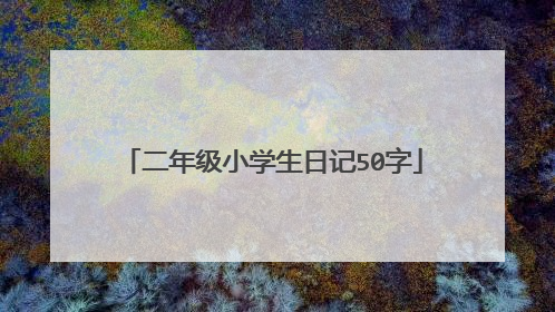 二年级小学生日记50字