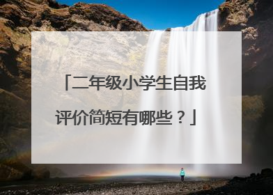 二年级小学生自我评价简短有哪些?
