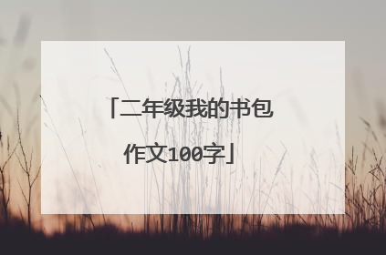二年级我的书包作文100字