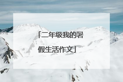 二年级我的暑假生活作文