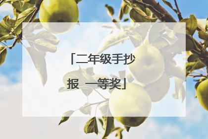 二年级手抄报 一等奖