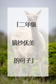 二年级摘抄优美的句子
