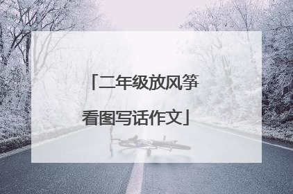 二年级放风筝看图写话作文