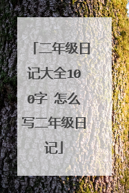 二年级日记大全100字 怎么写二年级日记