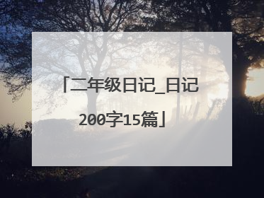 二年级日记_日记200字15篇