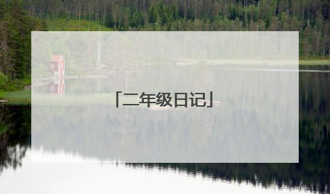 二年级日记