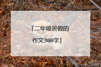 二年级暑假的作文300字