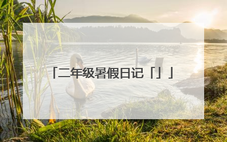 二年级暑假日记「」