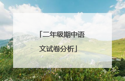 二年级期中语文试卷分析