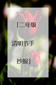 二年级清明节手抄报